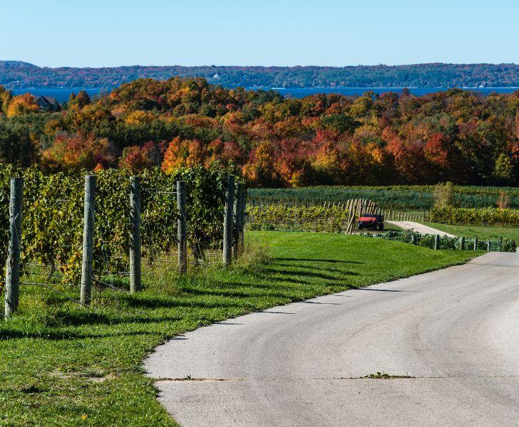 Unlock the Wonders of Great Lake Erie in Monroe County, Michigan!