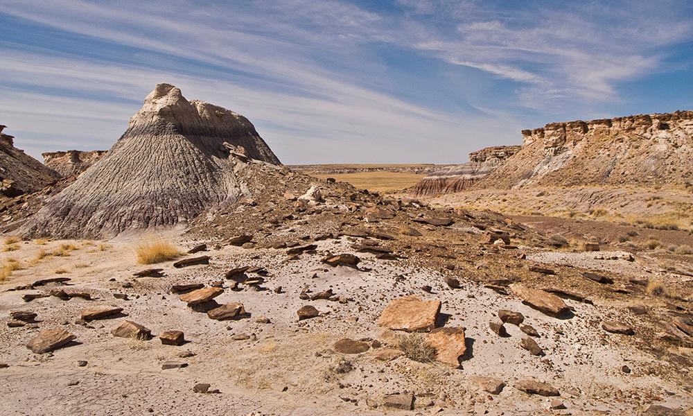 Discover 1.32 Acres of Natural Splendor and Cultural Riches in Arizona's Navajo Nation!