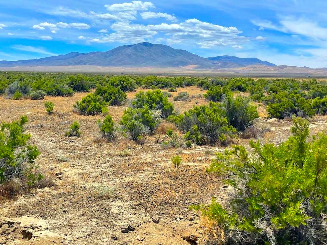 20 Acres of Nevada's High Mountain Desert in Elko County!