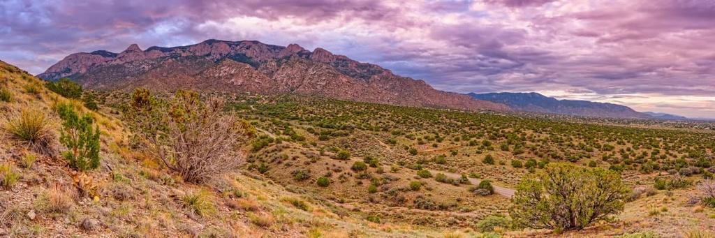 Investment Opportunity: 10-Lot Package in Sizzling New Mexico!