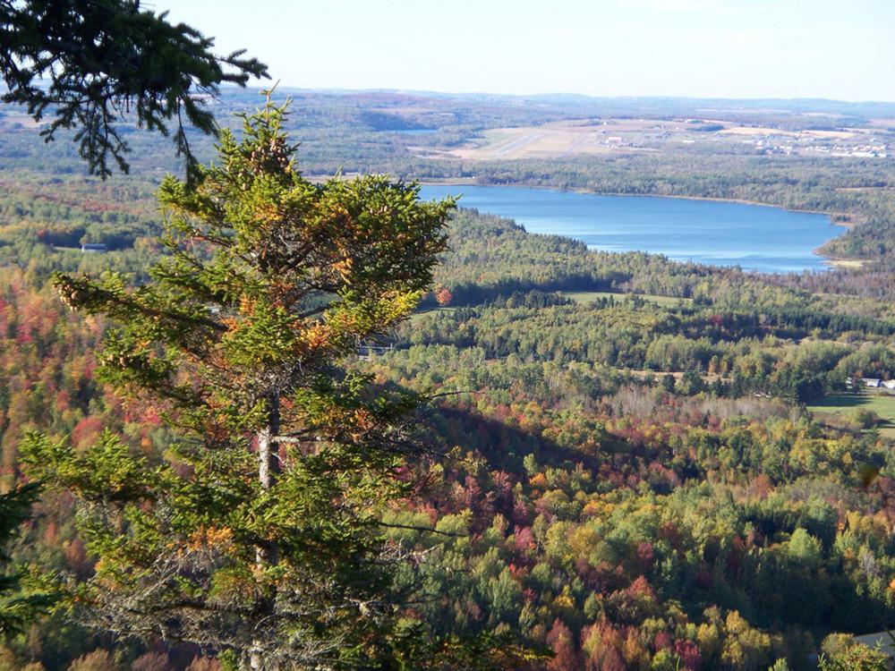 Explore Aroostook County, Maine: Where Wilderness Meets Warmth and Charm!