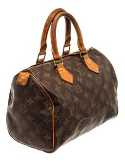 Louis Vuitton Speedy 25 cm Handbag