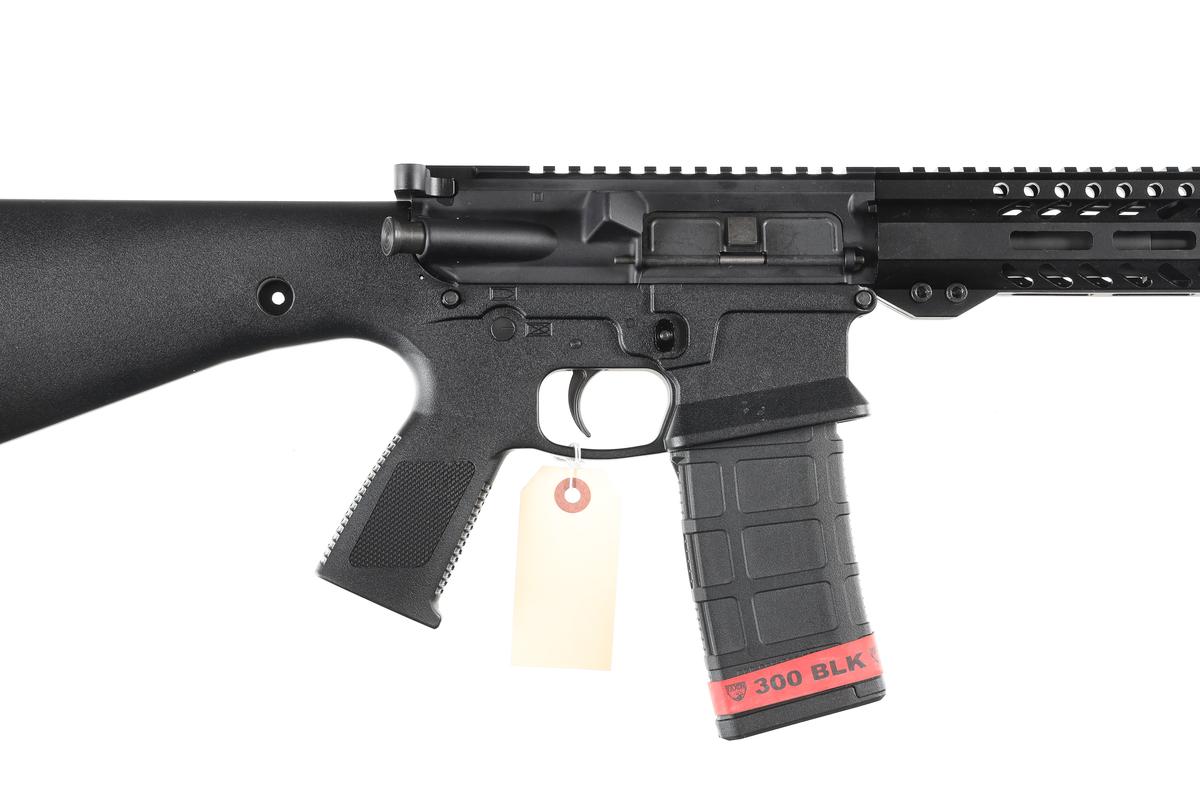 KE Arms KP-15 Semi Rifle .300 blk