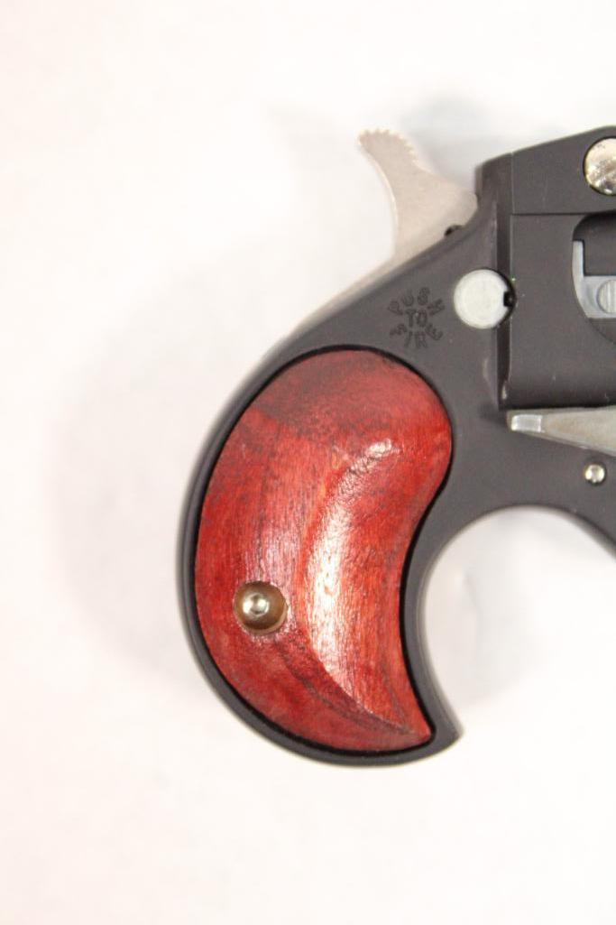 Bearman Model CL22L Derringer