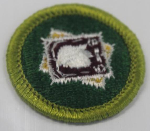 18 Unique Merit Badges