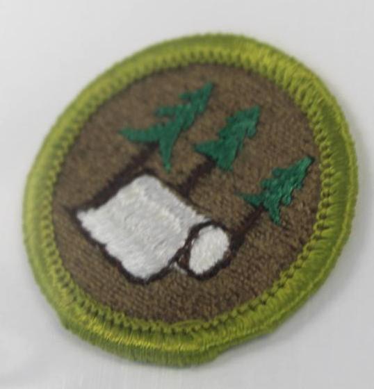 18 Unique Merit Badges