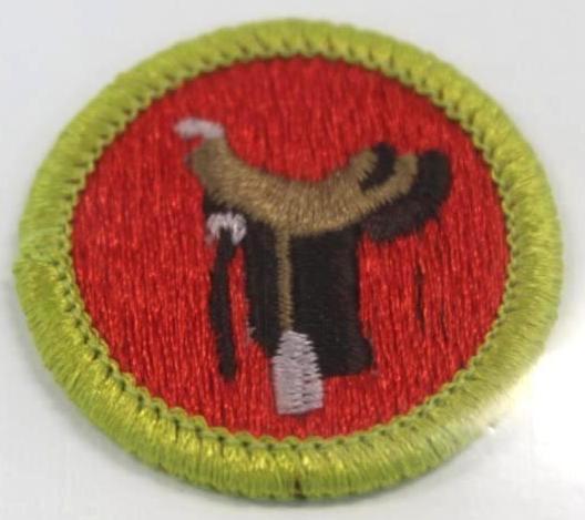 18 Unique Merit Badges