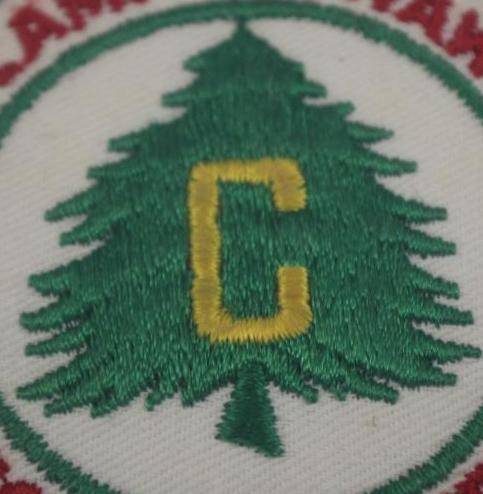 7 Vintage BSA Camp Patches