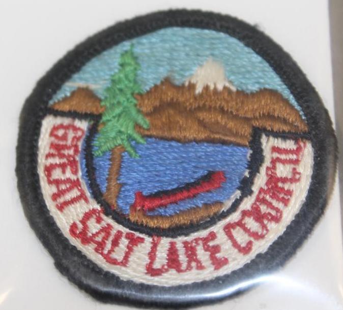 10 Small BSA Council Patches