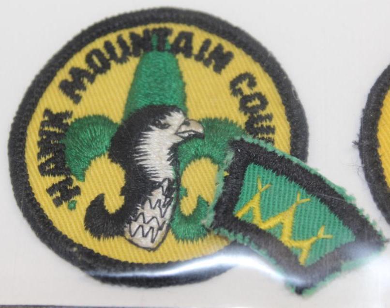 10 Small BSA Council Patches