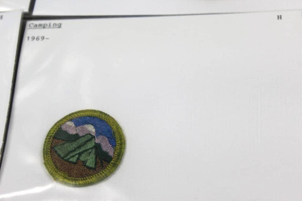 20 Mixed BSA Merit Badges