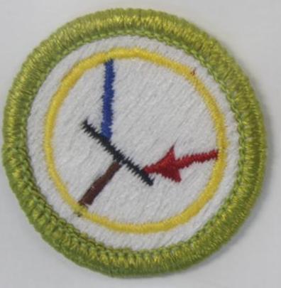 20 Mixed BSA Merit Badges