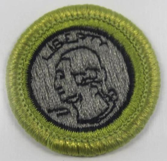 20 Mixed BSA Merit Badges