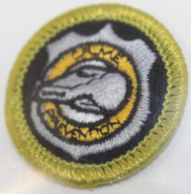 20 Mixed BSA Merit Badges